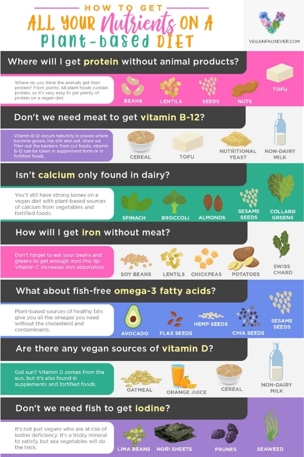 Where do vegans get protein? How do vegans get calcium? All your questions about vegan nutrition answered. Plus bonus vegan nutrition tips!