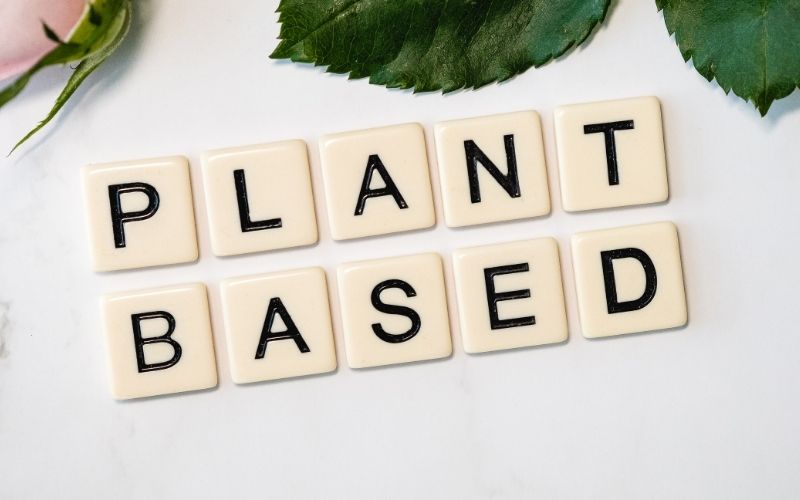 plant based diet